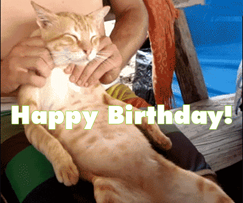 Funny Birthday Wishes For Friend Animated Gif Images GIFs Center